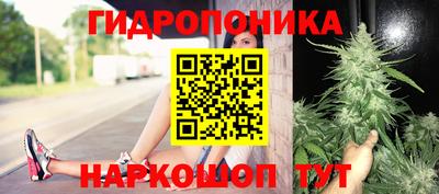 PSILOCYBIN Апшеронск