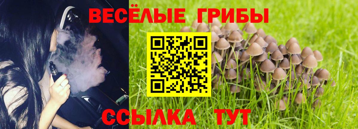 Галлюциногенные грибы MAGIC MUSHROOMS Верхняя Салда