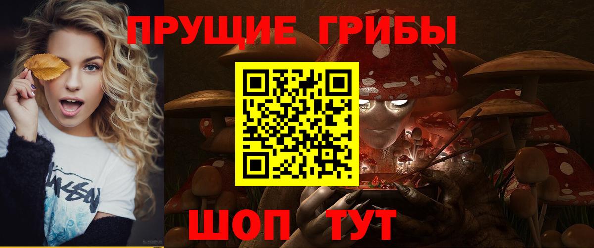 Верхняя Салда  Псилоцибиновые грибы Psilocybine cubensis  Вход с VPN 
